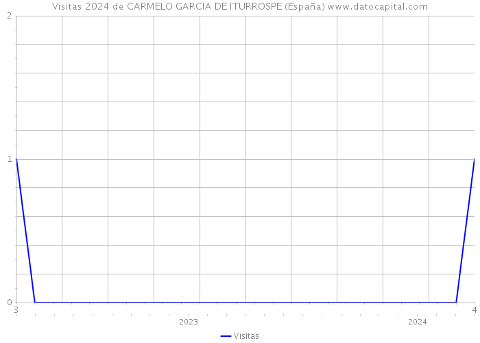 Visitas 2024 de CARMELO GARCIA DE ITURROSPE (España) 