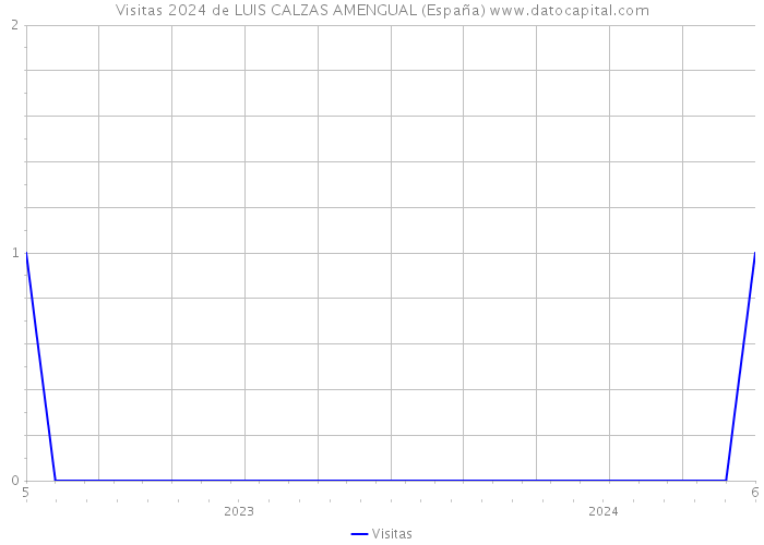 Visitas 2024 de LUIS CALZAS AMENGUAL (España) 