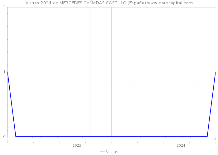 Visitas 2024 de MERCEDES CAÑADAS CASTILLO (España) 