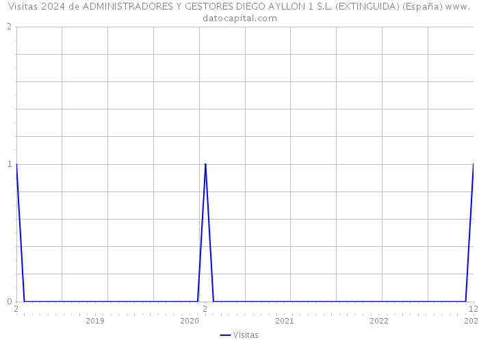 Visitas 2024 de ADMINISTRADORES Y GESTORES DIEGO AYLLON 1 S.L. (EXTINGUIDA) (España) 