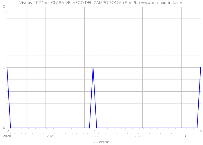 Visitas 2024 de CLARA VELASCO DEL CAMPO SONIA (España) 