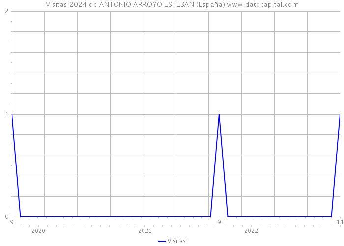 Visitas 2024 de ANTONIO ARROYO ESTEBAN (España) 