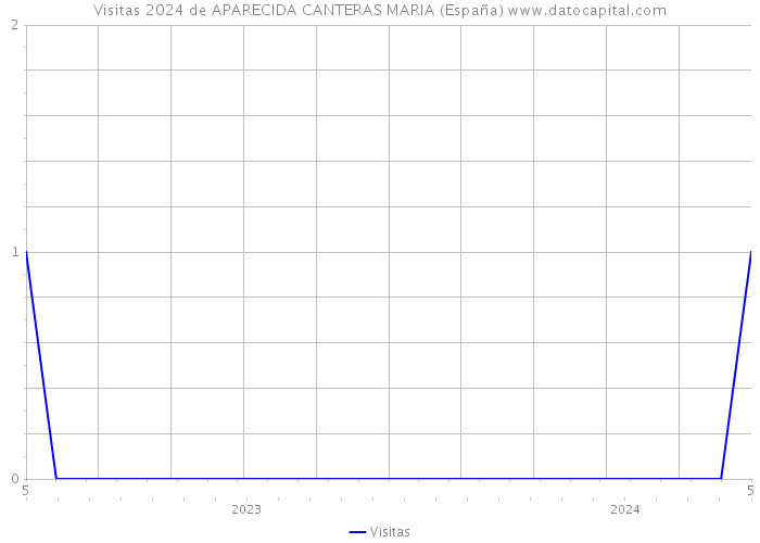 Visitas 2024 de APARECIDA CANTERAS MARIA (España) 