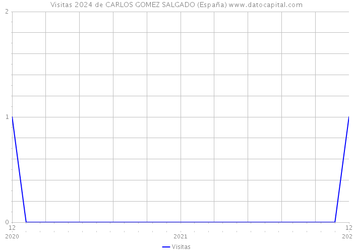 Visitas 2024 de CARLOS GOMEZ SALGADO (España) 