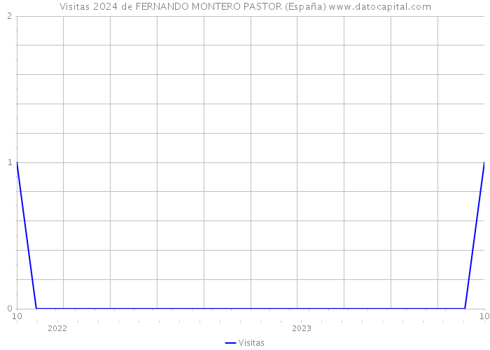 Visitas 2024 de FERNANDO MONTERO PASTOR (España) 