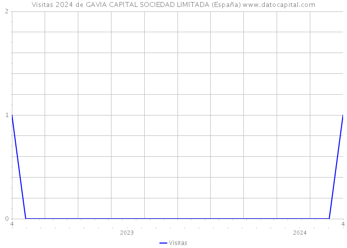 Visitas 2024 de GAVIA CAPITAL SOCIEDAD LIMITADA (España) 