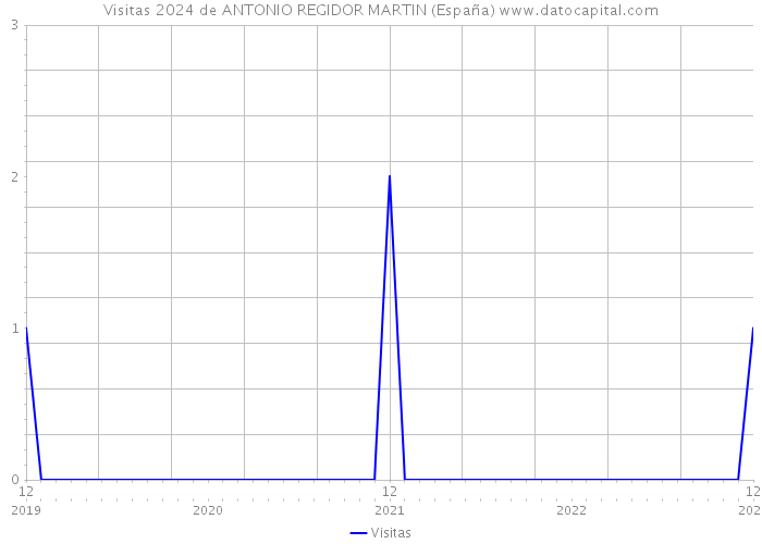 Visitas 2024 de ANTONIO REGIDOR MARTIN (España) 