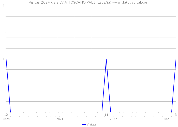 Visitas 2024 de SILVIA TOSCANO PAEZ (España) 