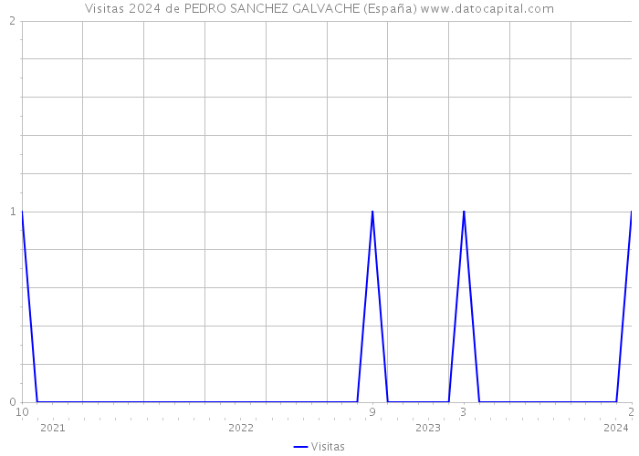 Visitas 2024 de PEDRO SANCHEZ GALVACHE (España) 