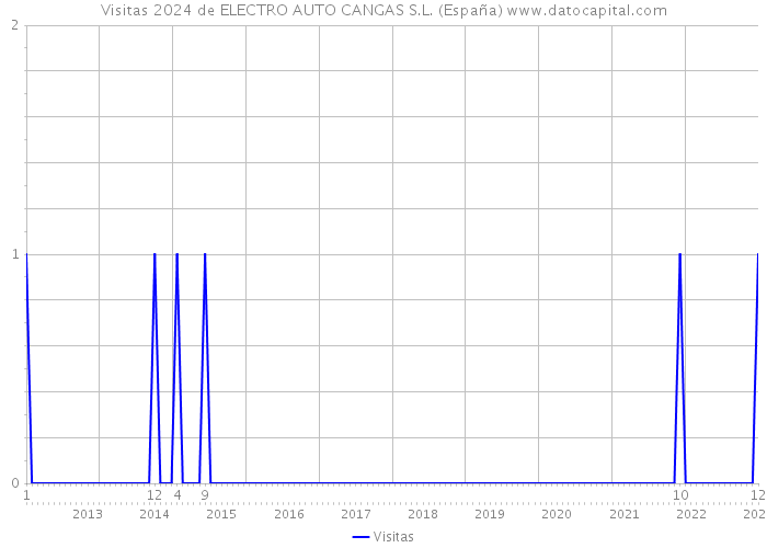 Visitas 2024 de ELECTRO AUTO CANGAS S.L. (España) 