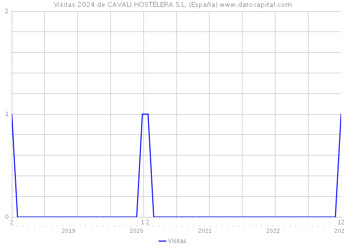 Visitas 2024 de CAVALI HOSTELERA S.L. (España) 