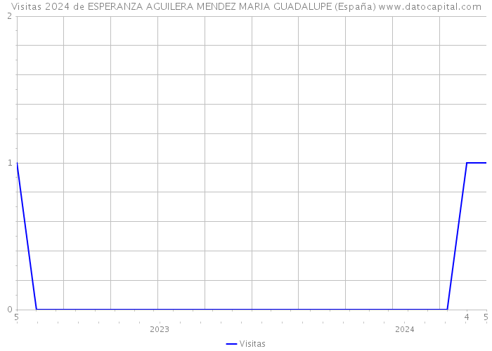 Visitas 2024 de ESPERANZA AGUILERA MENDEZ MARIA GUADALUPE (España) 
