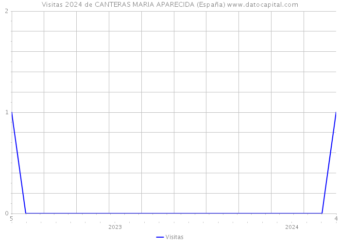Visitas 2024 de CANTERAS MARIA APARECIDA (España) 