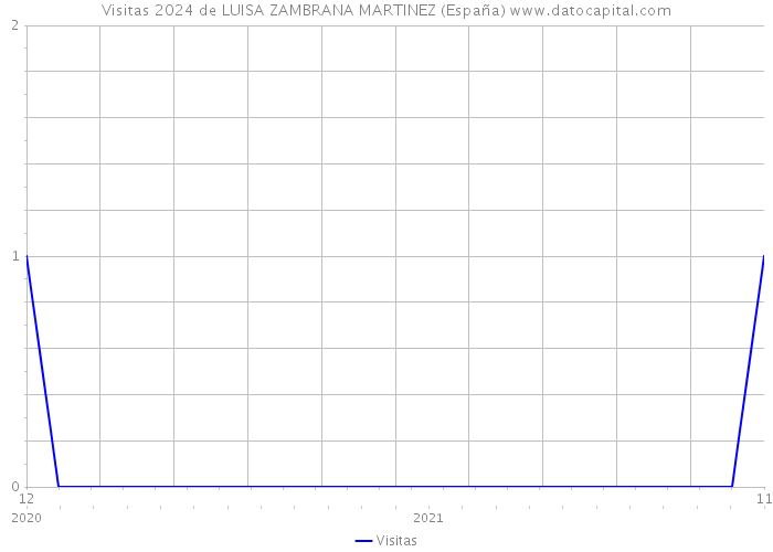 Visitas 2024 de LUISA ZAMBRANA MARTINEZ (España) 