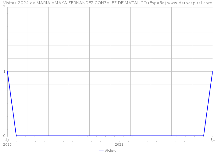 Visitas 2024 de MARIA AMAYA FERNANDEZ GONZALEZ DE MATAUCO (España) 