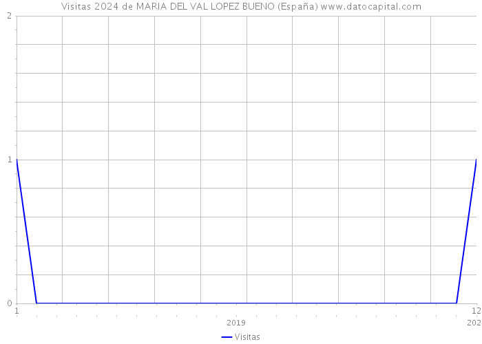 Visitas 2024 de MARIA DEL VAL LOPEZ BUENO (España) 