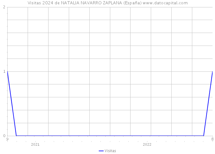 Visitas 2024 de NATALIA NAVARRO ZAPLANA (España) 