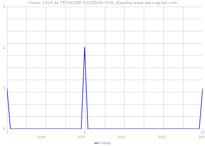 Visitas 2024 de TECNOSER SOCIEDAD CIVIL (España) 