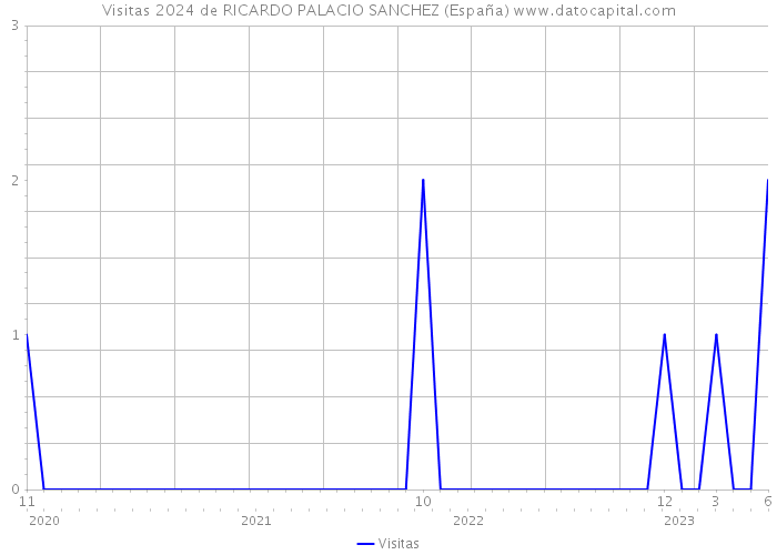 Visitas 2024 de RICARDO PALACIO SANCHEZ (España) 