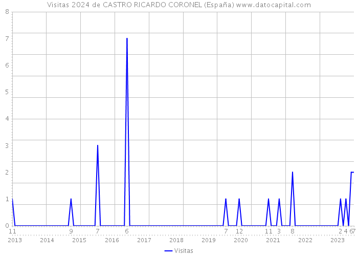 Visitas 2024 de CASTRO RICARDO CORONEL (España) 