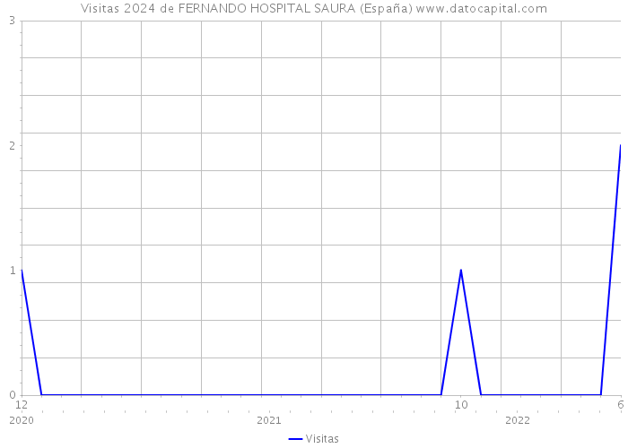 Visitas 2024 de FERNANDO HOSPITAL SAURA (España) 
