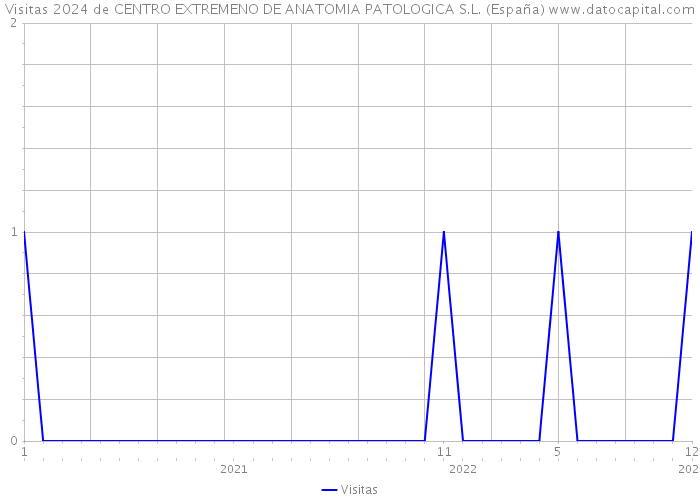 Visitas 2024 de CENTRO EXTREMENO DE ANATOMIA PATOLOGICA S.L. (España) 