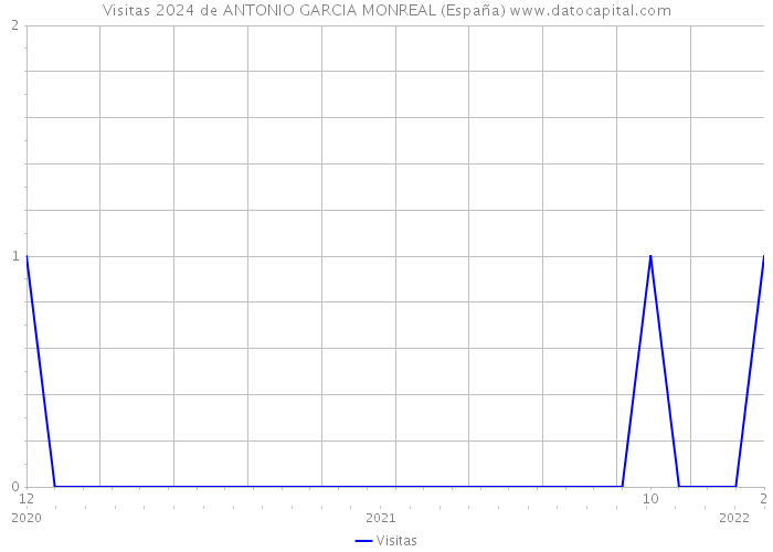 Visitas 2024 de ANTONIO GARCIA MONREAL (España) 