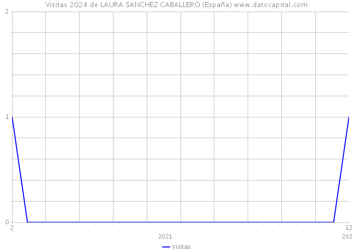 Visitas 2024 de LAURA SANCHEZ CABALLERO (España) 