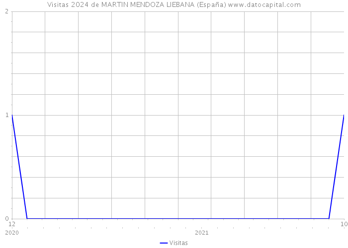 Visitas 2024 de MARTIN MENDOZA LIEBANA (España) 
