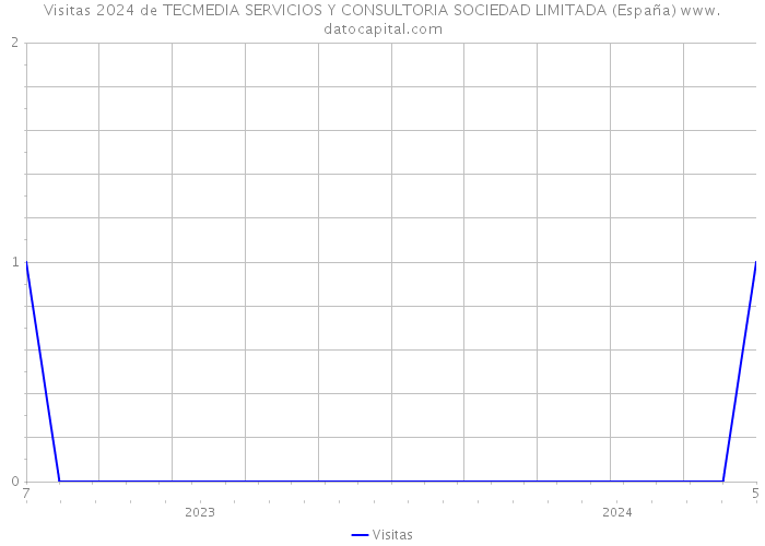 Visitas 2024 de TECMEDIA SERVICIOS Y CONSULTORIA SOCIEDAD LIMITADA (España) 