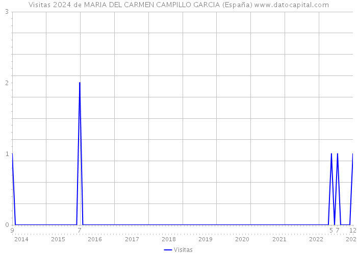 Visitas 2024 de MARIA DEL CARMEN CAMPILLO GARCIA (España) 
