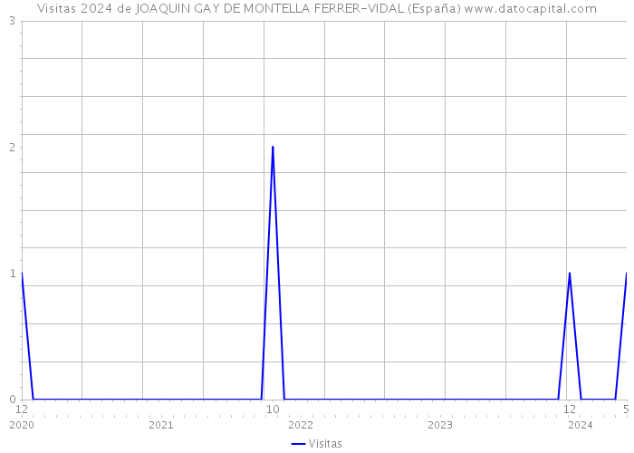 Visitas 2024 de JOAQUIN GAY DE MONTELLA FERRER-VIDAL (España) 