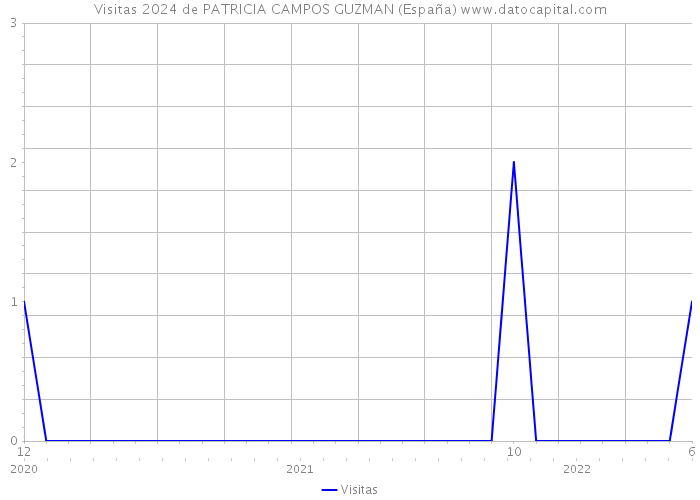 Visitas 2024 de PATRICIA CAMPOS GUZMAN (España) 