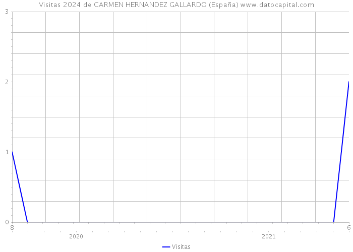 Visitas 2024 de CARMEN HERNANDEZ GALLARDO (España) 