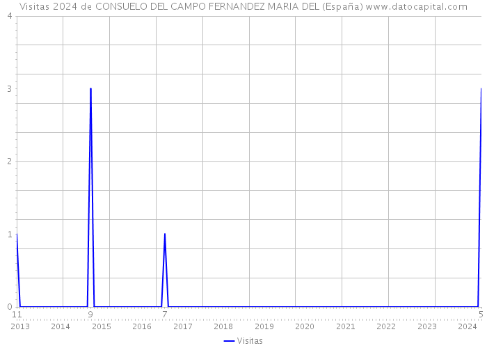 Visitas 2024 de CONSUELO DEL CAMPO FERNANDEZ MARIA DEL (España) 