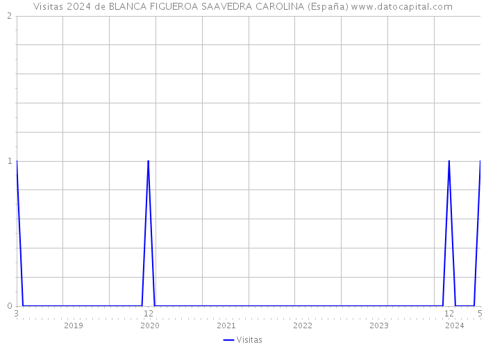Visitas 2024 de BLANCA FIGUEROA SAAVEDRA CAROLINA (España) 