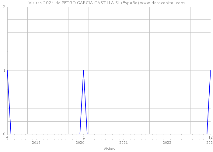 Visitas 2024 de PEDRO GARCIA CASTILLA SL (España) 
