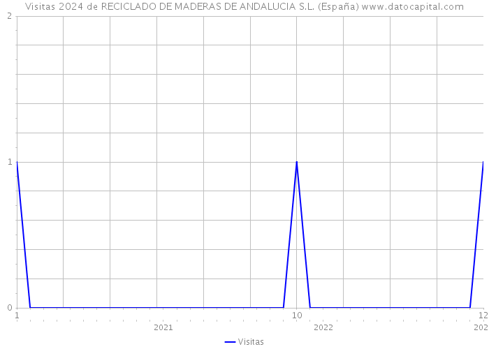Visitas 2024 de RECICLADO DE MADERAS DE ANDALUCIA S.L. (España) 