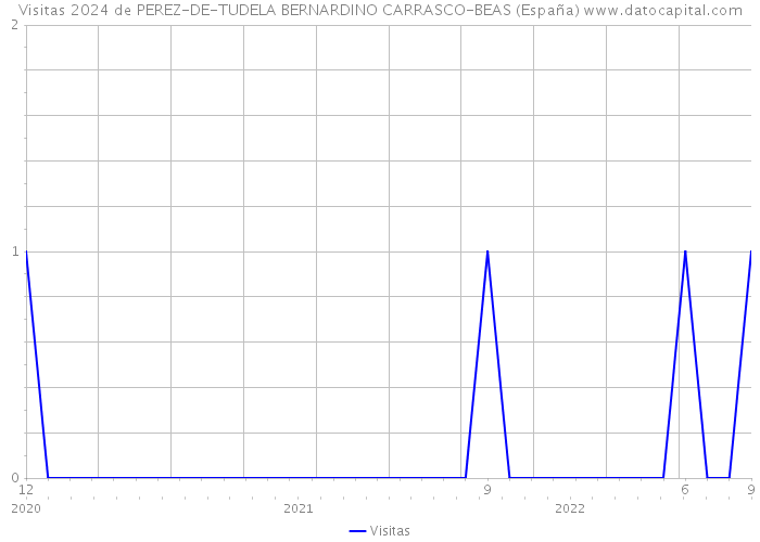 Visitas 2024 de PEREZ-DE-TUDELA BERNARDINO CARRASCO-BEAS (España) 