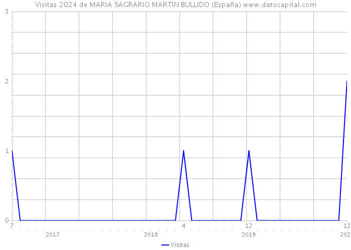 Visitas 2024 de MARIA SAGRARIO MARTIN BULLIDO (España) 