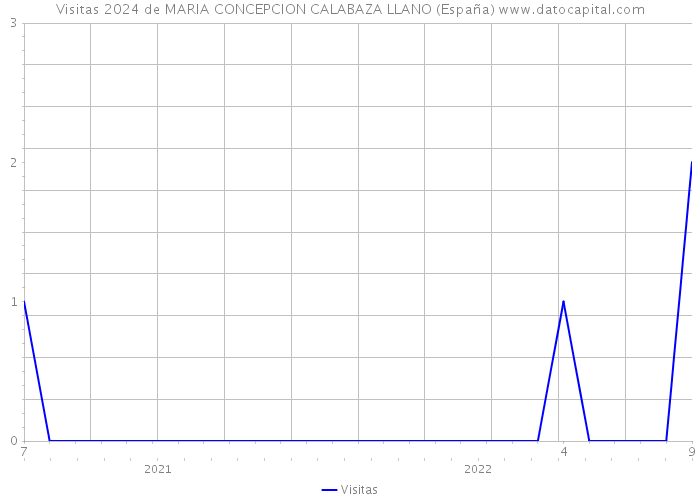 Visitas 2024 de MARIA CONCEPCION CALABAZA LLANO (España) 