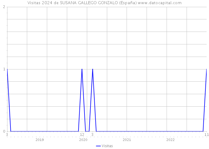 Visitas 2024 de SUSANA GALLEGO GONZALO (España) 