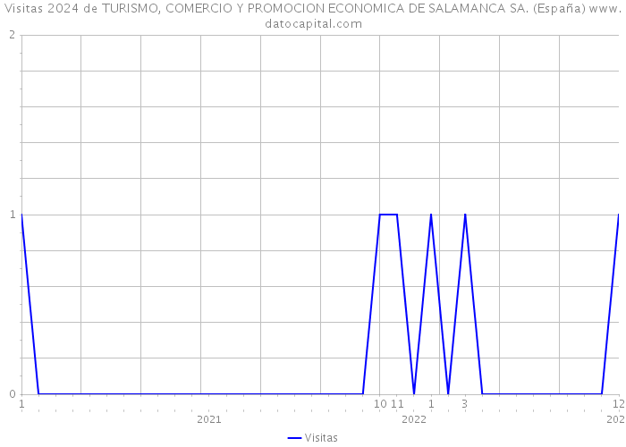 Visitas 2024 de TURISMO, COMERCIO Y PROMOCION ECONOMICA DE SALAMANCA SA. (España) 