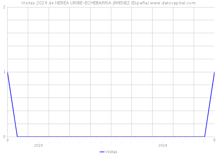 Visitas 2024 de NEREA URIBE-ECHEBARRIA JIMENEZ (España) 