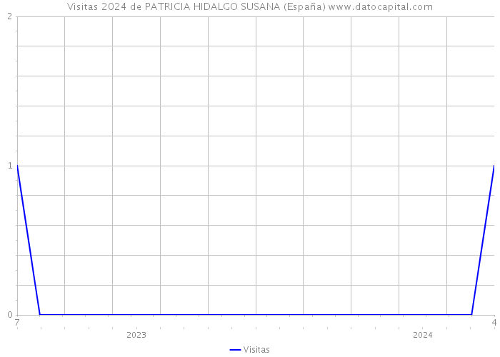 Visitas 2024 de PATRICIA HIDALGO SUSANA (España) 
