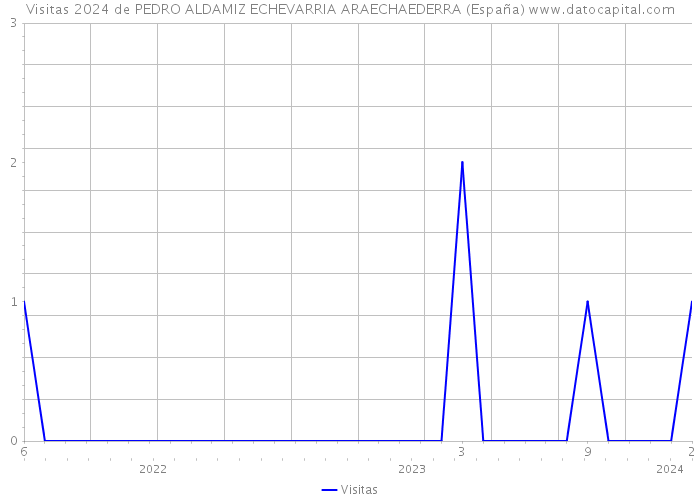 Visitas 2024 de PEDRO ALDAMIZ ECHEVARRIA ARAECHAEDERRA (España) 