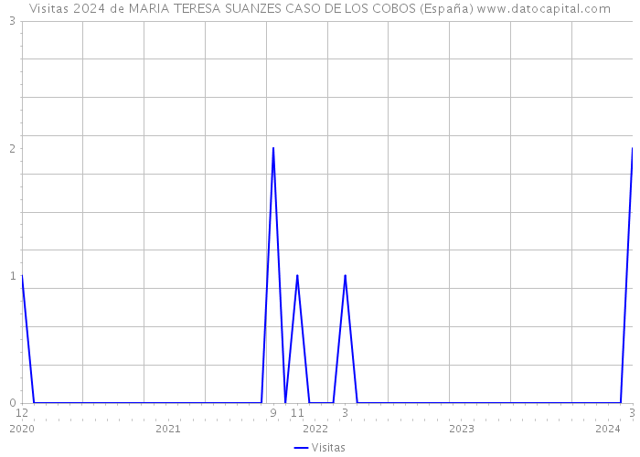Visitas 2024 de MARIA TERESA SUANZES CASO DE LOS COBOS (España) 