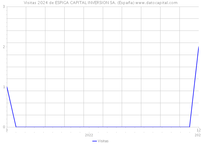 Visitas 2024 de ESPIGA CAPITAL INVERSION SA. (España) 