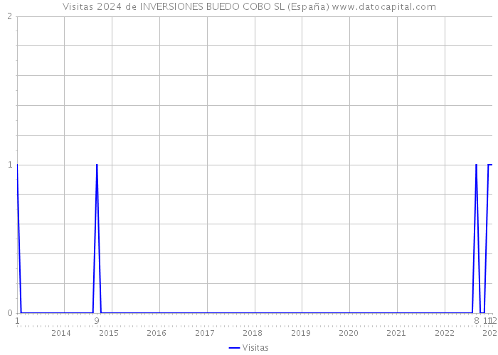 Visitas 2024 de INVERSIONES BUEDO COBO SL (España) 