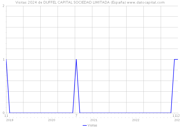 Visitas 2024 de DUFFEL CAPITAL SOCIEDAD LIMITADA (España) 